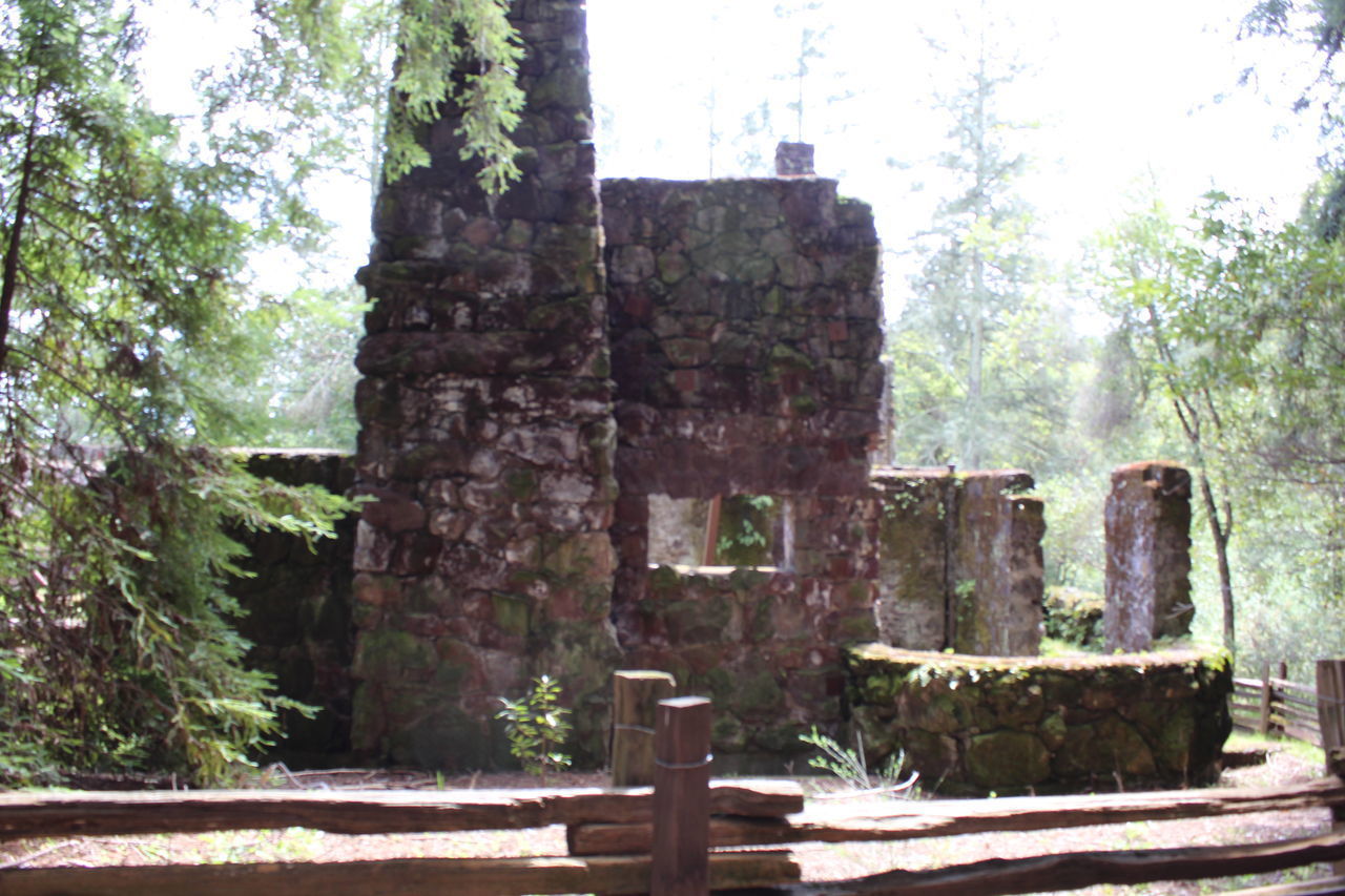 OLD RUINS BY TREES AGAINST SKY