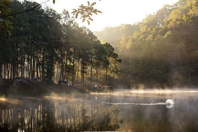 Scenic view of lake by trees