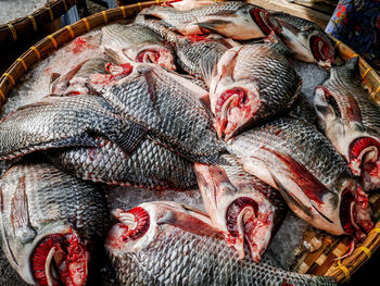 High angle view of fish for sale in market