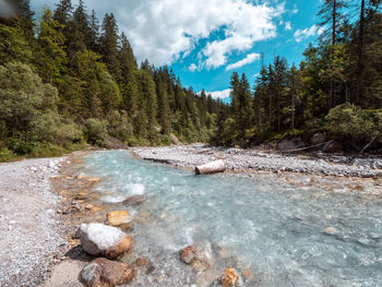 Scenic view of river amidst trees against sky