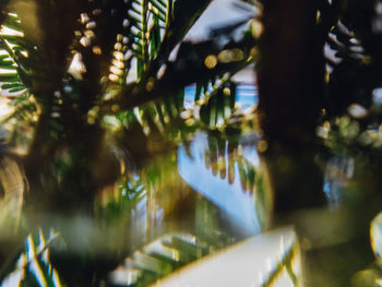 Defocused image of illuminated christmas lights