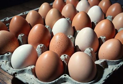 Close-up of eggs