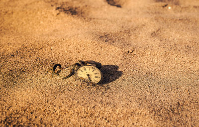 Still life - antique rotten pocket watch buried partial in the sand at the sunset