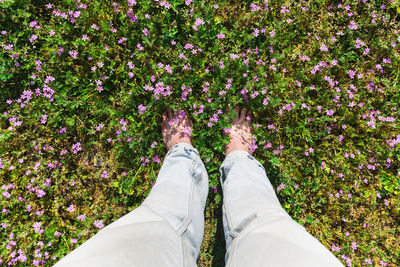 Low section of person standing by plants