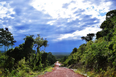 Road amidst trees against sky