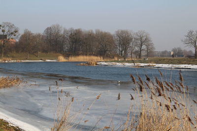 Scenic view of lake against sky during winter