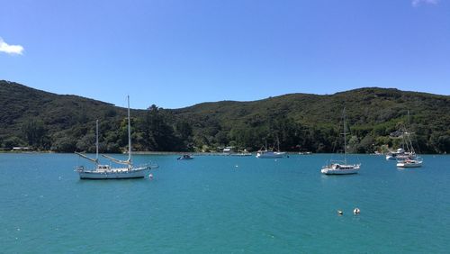 Sailboats moored on sea against clear blue sky