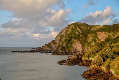 The sleeping elephant in hillsborough, ilfracombe
