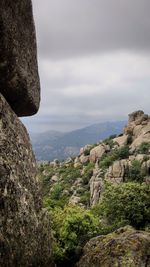 My amazing back view hiking the mountains