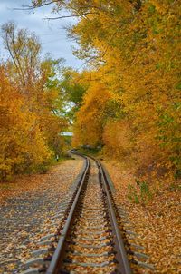 Railroad track amidst trees during autumn