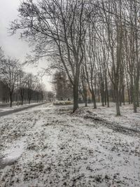 Bare trees on snow covered landscape