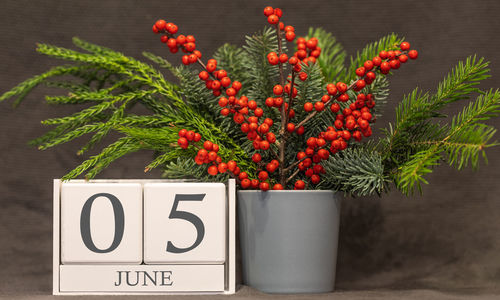 Close-up of red berries on plant