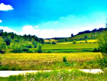 Scenic view of field against sky