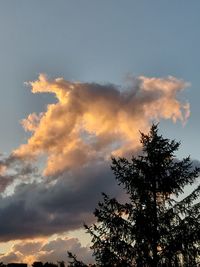 Low angle view of silhouette trees against sky during sunset