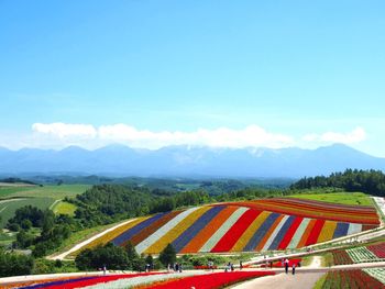 Scenic view of landscape against blue sky