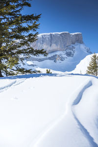 Snow covered land and trees against sky