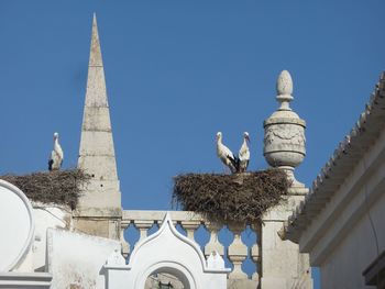 Low angle view of seagulls perching on building against clear sky