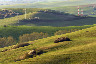 Scenic view of agricultural field