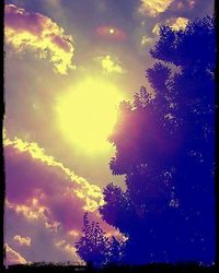 Low angle view of silhouette trees against sky