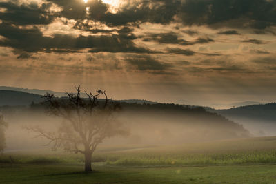 Scenic view of field against cloudy sky