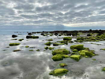 Beach photography