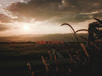 Scenic view of agricultural field against sky during sunset