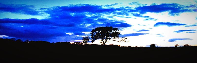 Silhouette of trees against cloudy sky