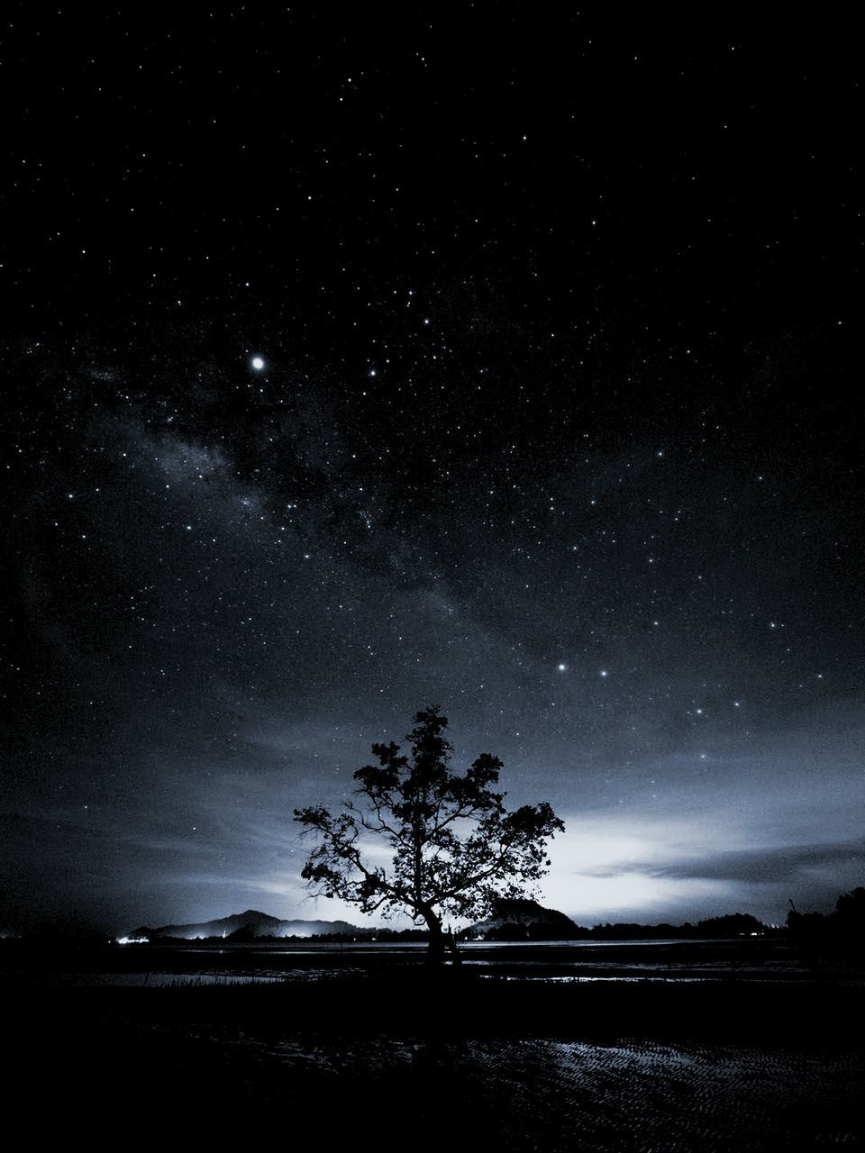 night, star - space, space, sky, astronomy, beauty in nature, tree, scenics - nature, tranquility, plant, star, tranquil scene, no people, nature, galaxy, star field, idyllic, land, landscape, water, outdoors, space and astronomy