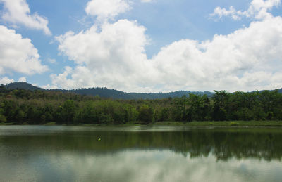 Scenic view of lake by trees against sky