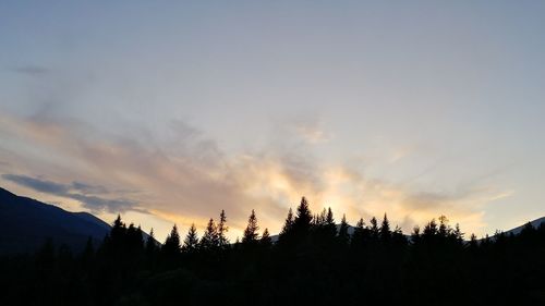 Silhouette trees in forest against sky during sunset