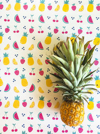 Directly above shot of pineapple on colorful table