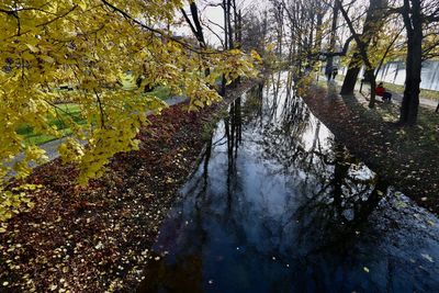 Reflection of trees in water during autumn