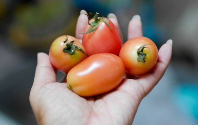 Close-up of hand holding apple