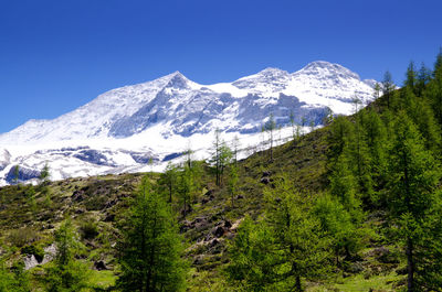 Scenic view of snowcapped mountains against clear blue sky