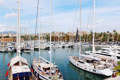 Sailboats moored in harbor