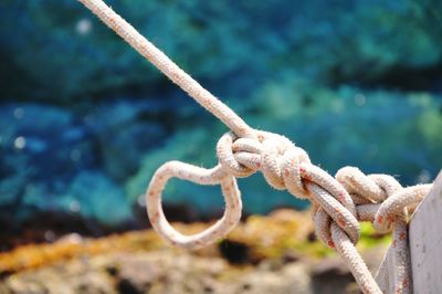 Close-up of tied rope