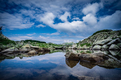 Reflection of trees on water against blue sky