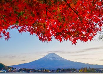 Scenic view of trees by mountains against sky during autumn