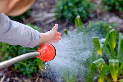 Midsection of person holding plant in yard