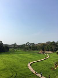 Scenic view of field against clear sky