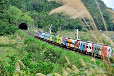 Train on railroad track