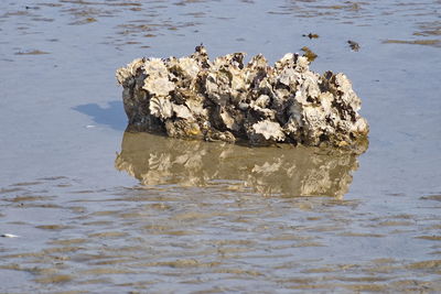 Scenic view of rocks in sea