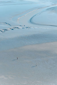 High angle view of birds swimming in sea