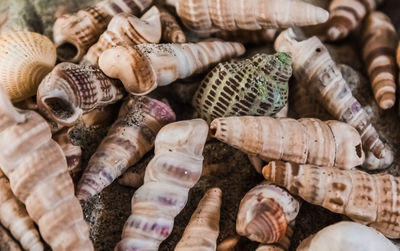 Full frame shot of firewood