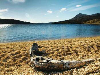 Scenic view of beach against sky