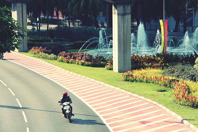 High angle view of person riding scooter