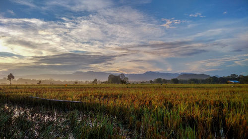 Scenic view of field against dramatic sky