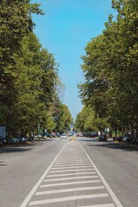 Road by trees in city against sky