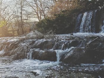 Scenic view of waterfall in forest