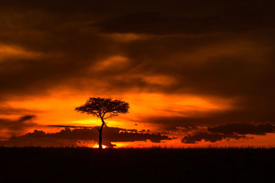 Silhouette tree against dramatic sky during sunset